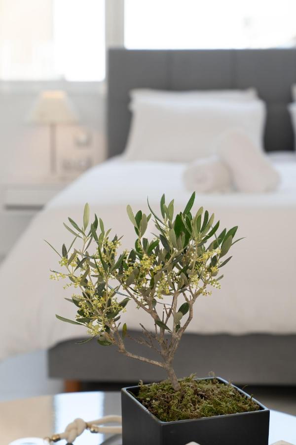 Olvar Suites Atény Exteriér fotografie