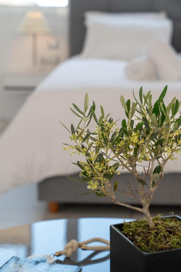 Olvar Suites Atény Exteriér fotografie