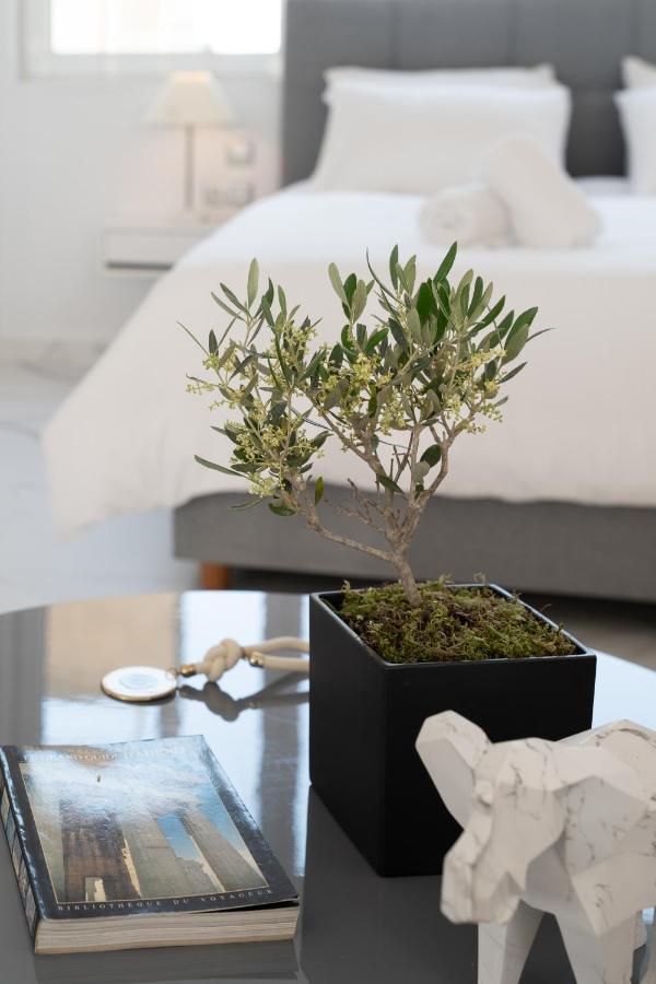 Olvar Suites Atény Exteriér fotografie